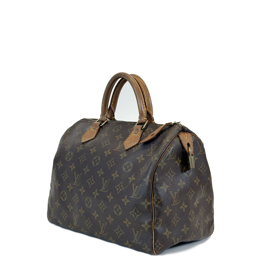 Louis Vuitton Speedy (30)