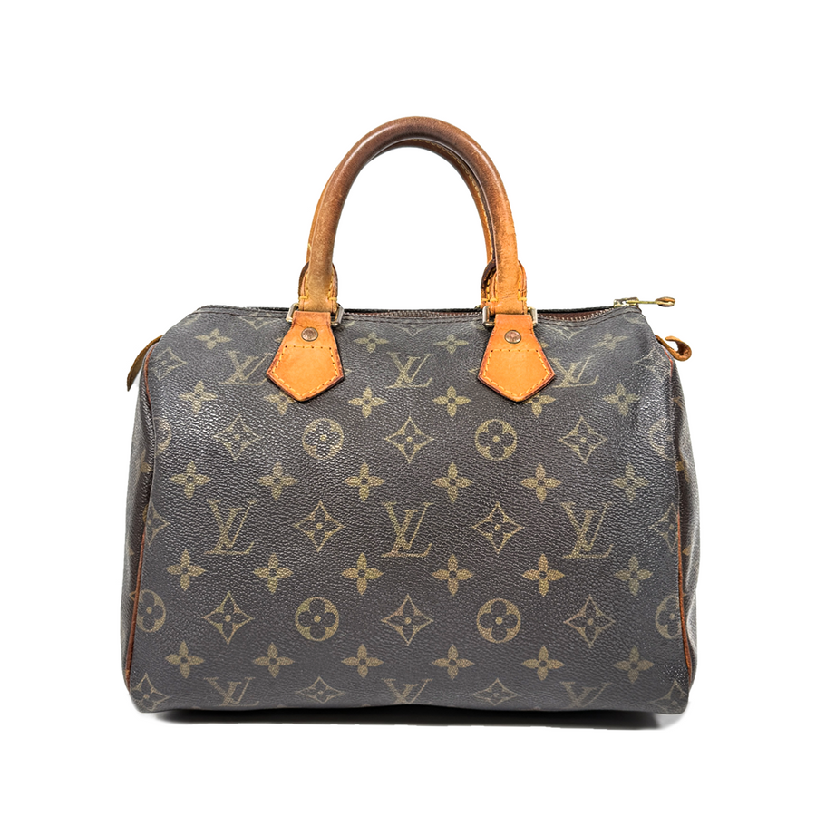 Louis Vuitton Speedy (25)