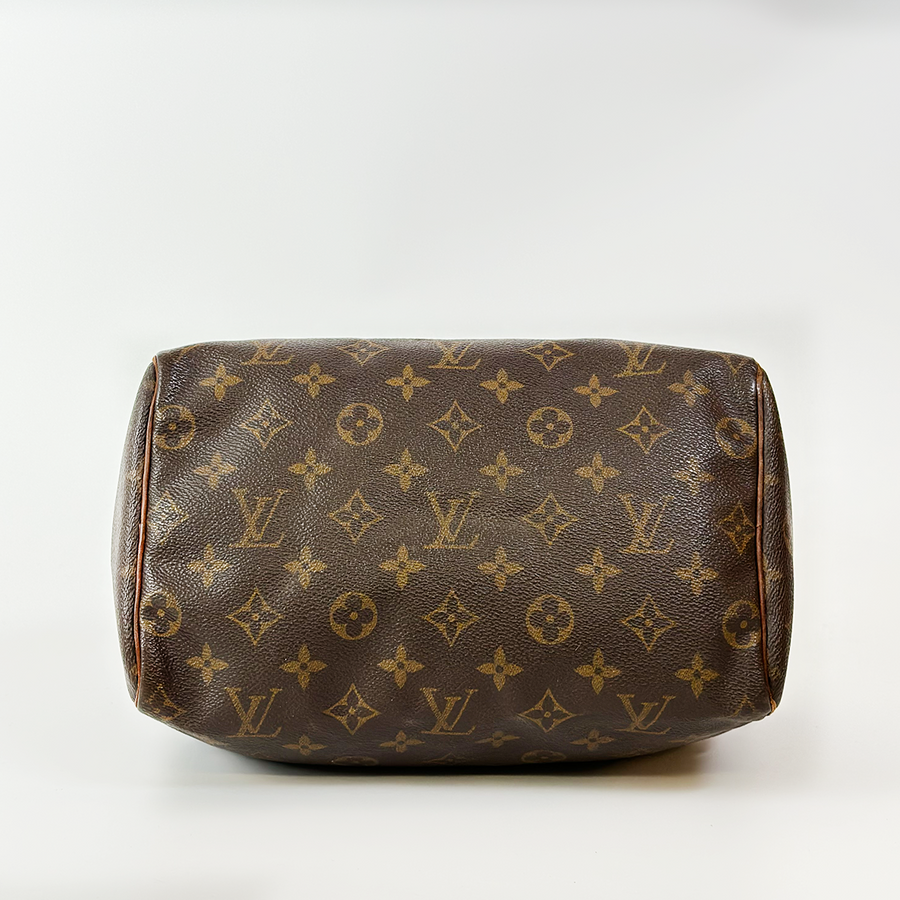 Louis Vuitton Speedy (25)