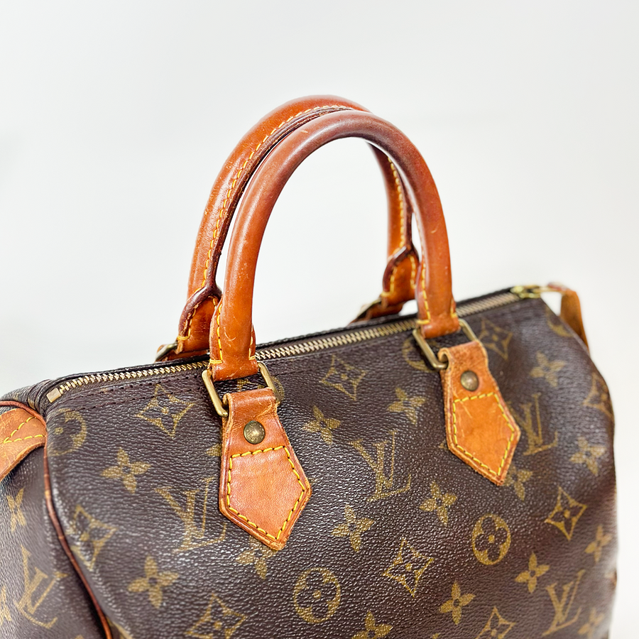 Louis Vuitton Speedy (25)