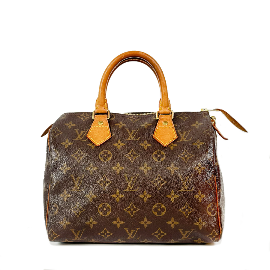 Louis Vuitton Speedy (25)