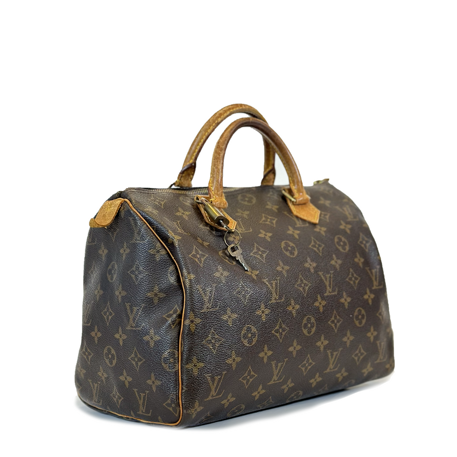 Louis Vuitton Speedy (30)