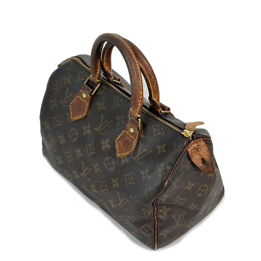 Louis Vuitton Speedy (25)