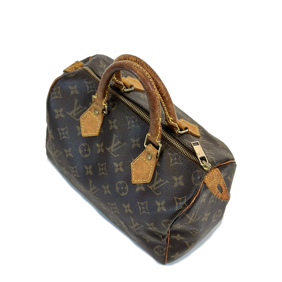 Louis Vuitton Speedy (25)