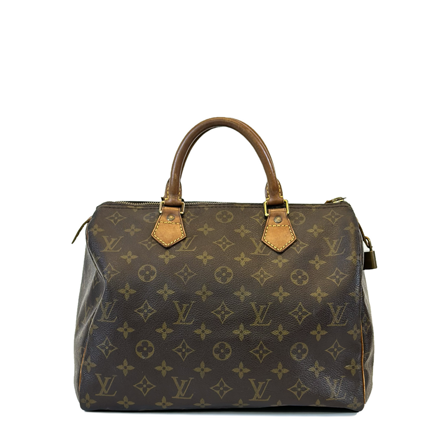 Louis Vuitton Speedy (30)