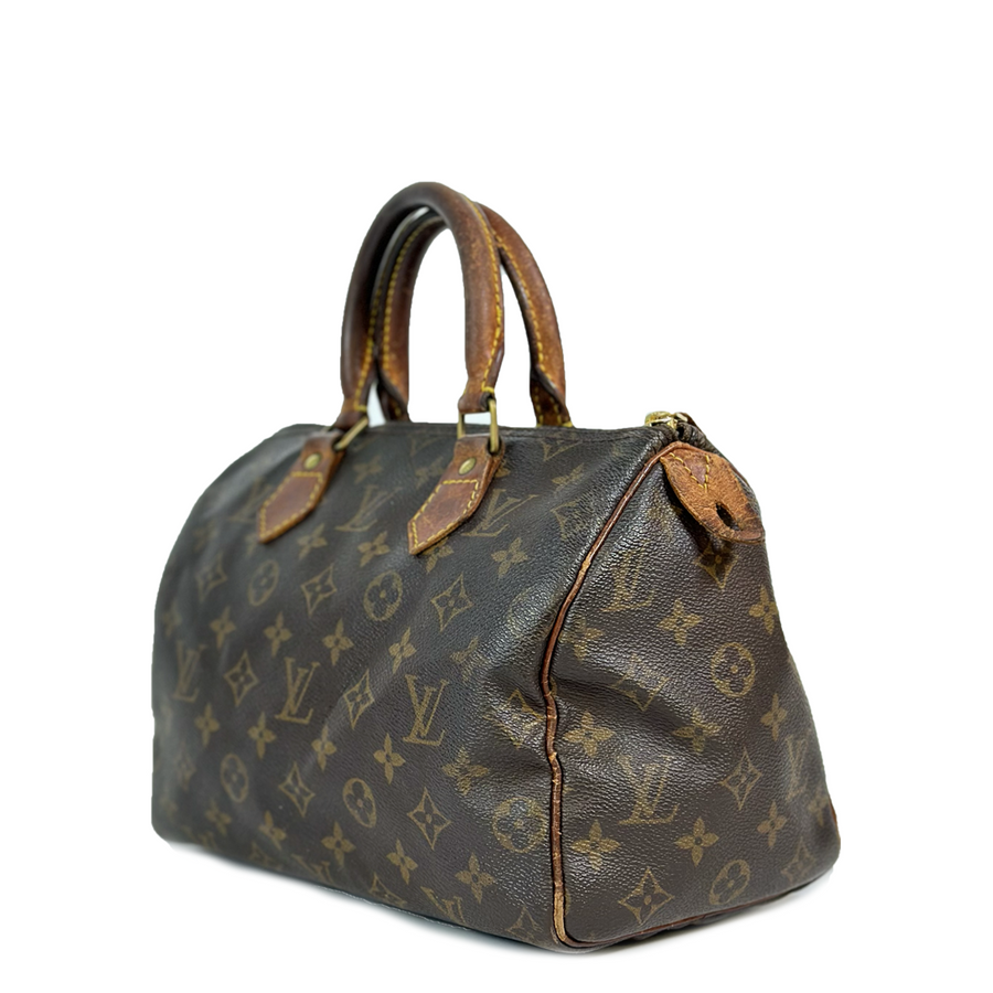 Louis Vuitton Speedy (25)