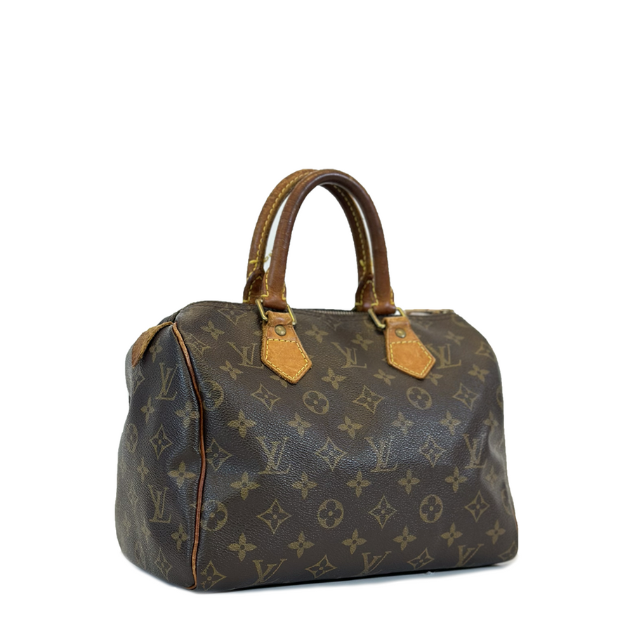 Louis Vuitton Speedy (25)