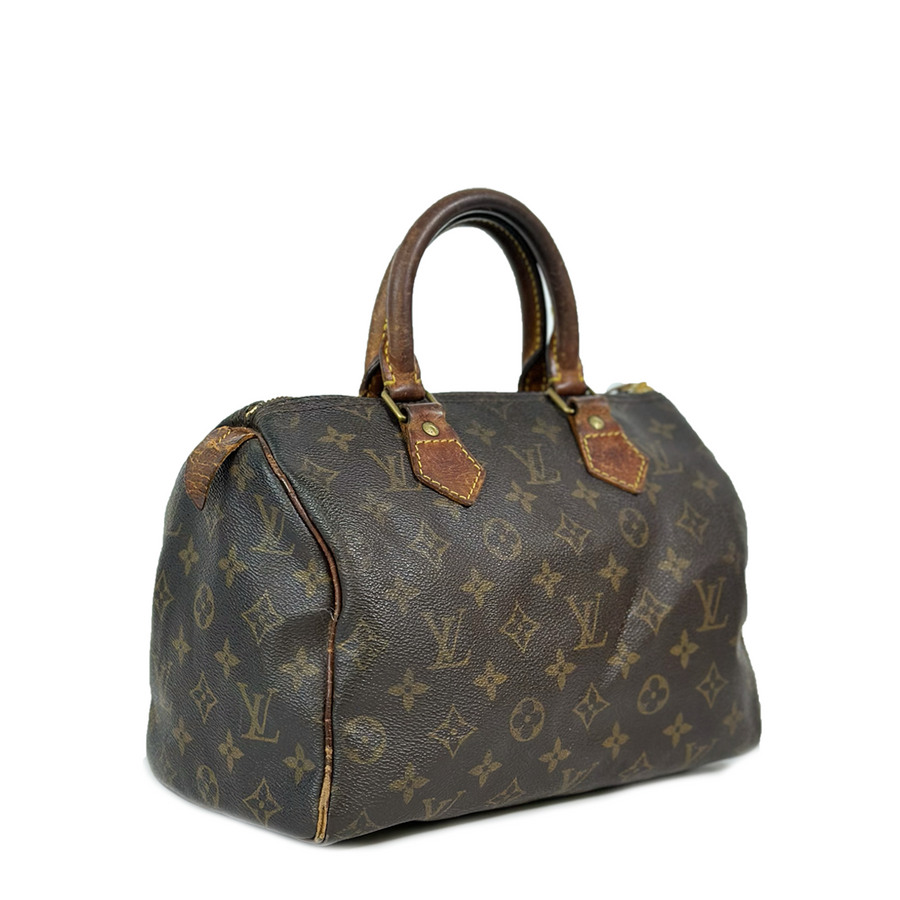 Louis Vuitton Speedy (25)