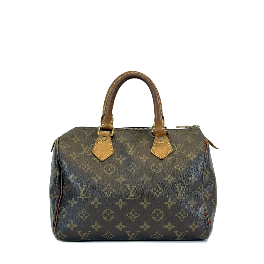 Louis Vuitton Speedy (25)