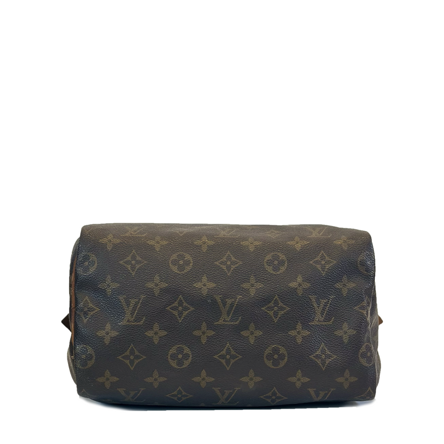 Louis Vuitton Speedy (25)