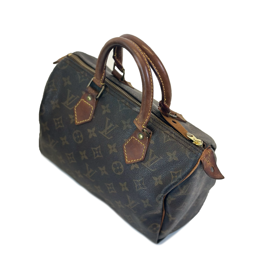 Louis Vuitton Speedy (25)