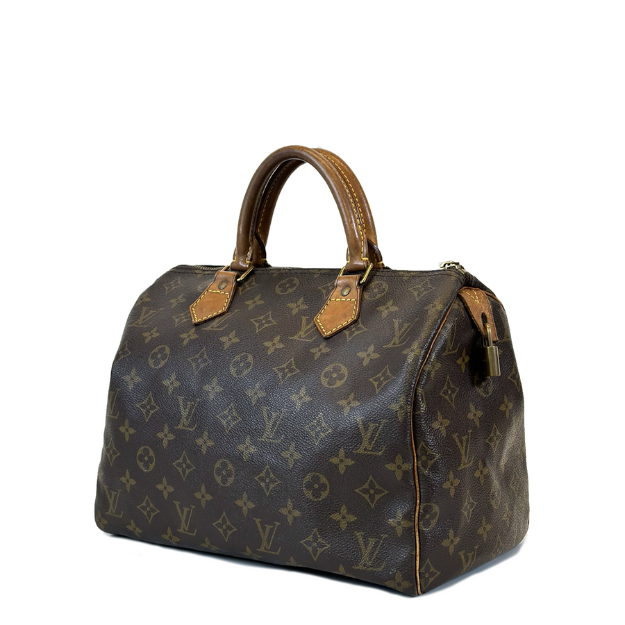 Louis Vuitton Speedy (30)