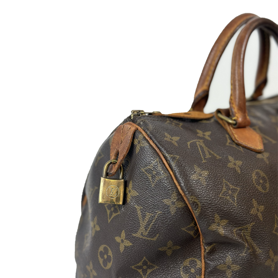 Louis Vuitton Speedy (30)