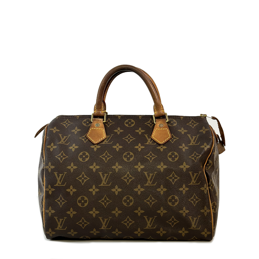 Louis Vuitton Speedy (30)