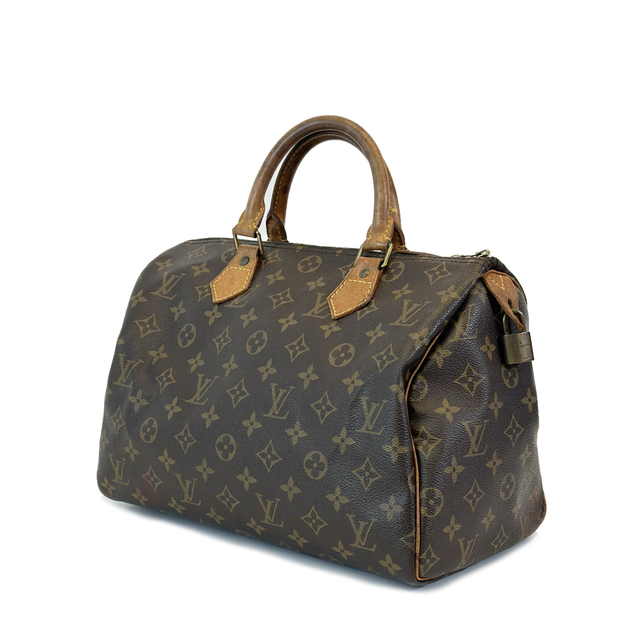 Louis Vuitton Speedy (30)