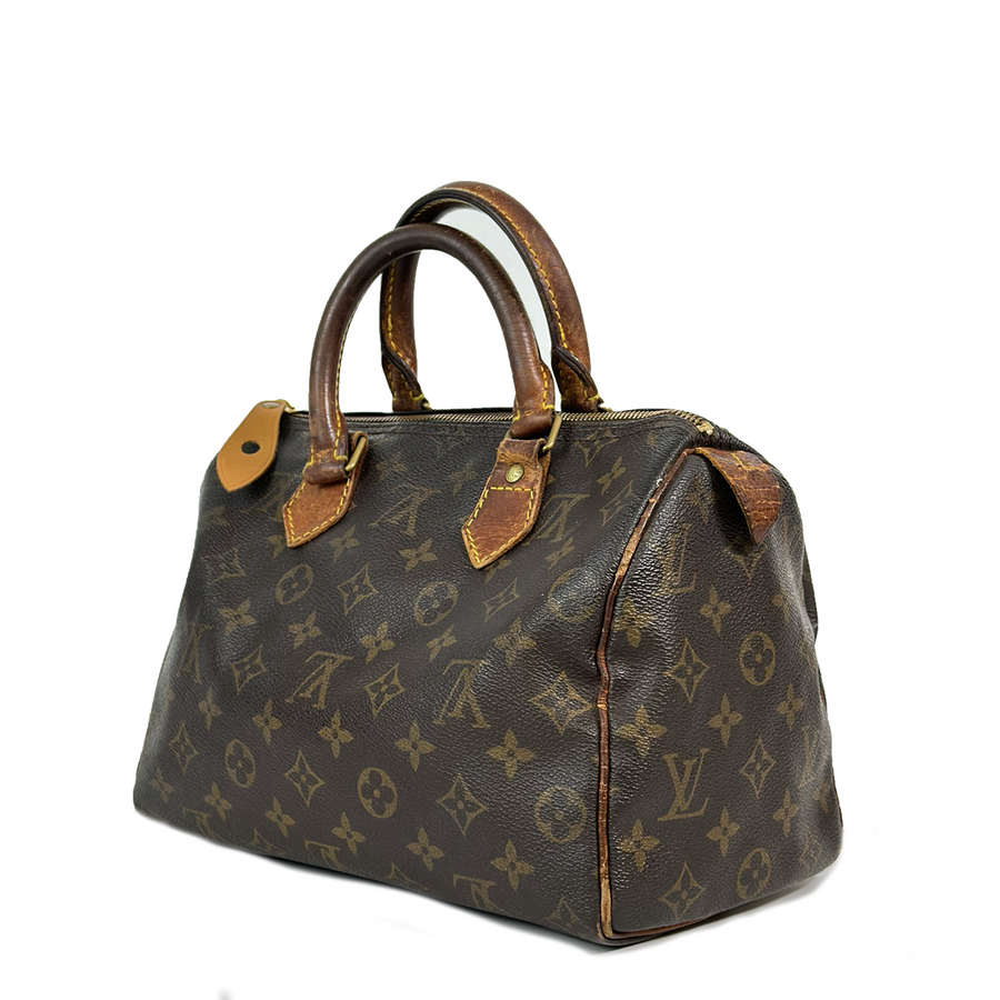 Louis Vuitton Speedy (25)