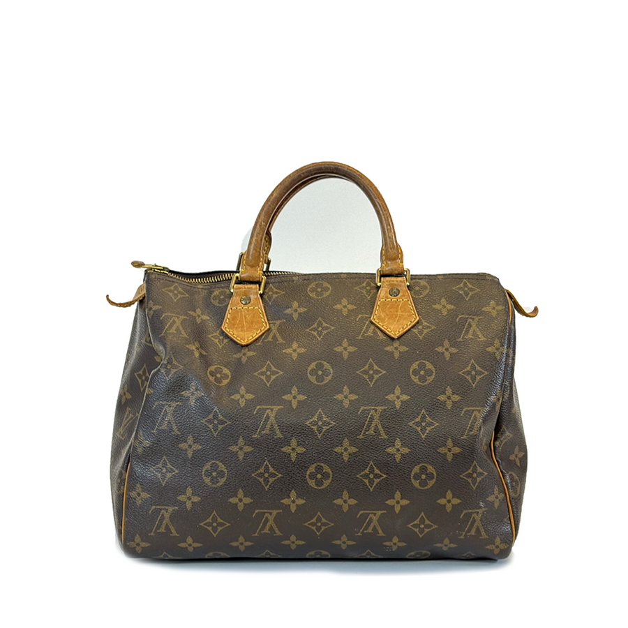 Louis Vuitton Speedy (30)