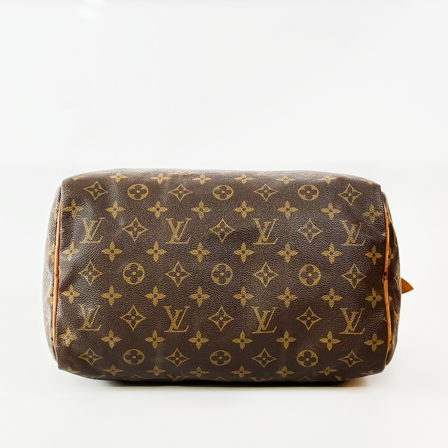 Louis Vuitton Speedy (30)