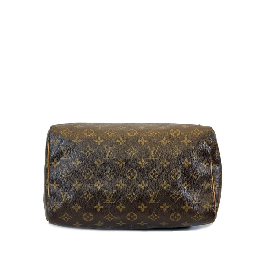 Louis Vuitton Speedy (30)