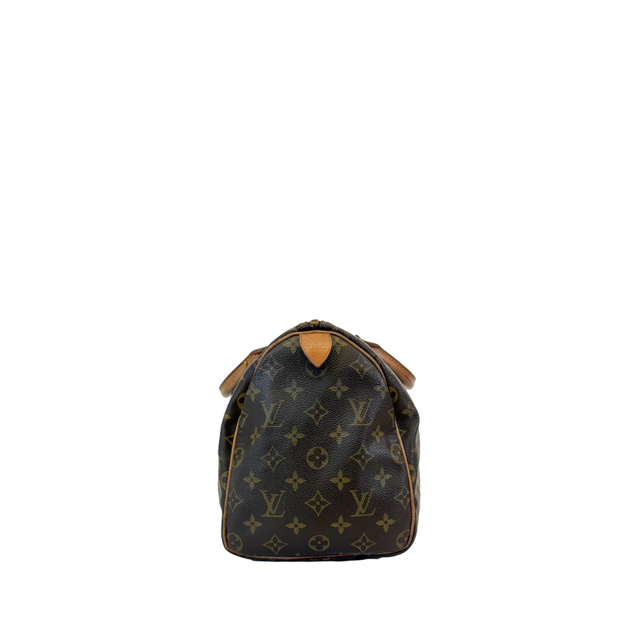 Louis Vuitton Speedy (30)