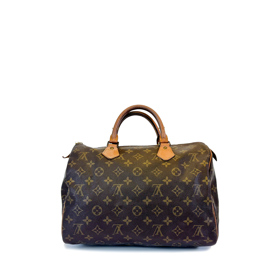 Louis Vuitton Speedy (30)