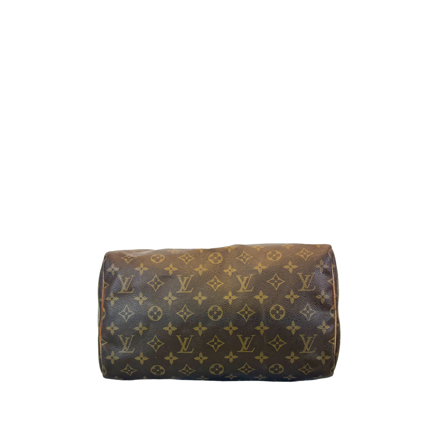 Louis Vuitton Speedy (30)