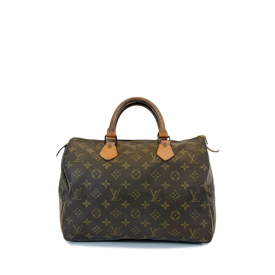 Louis Vuitton Speedy (30)