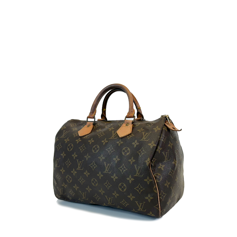 Louis Vuitton Speedy (30)