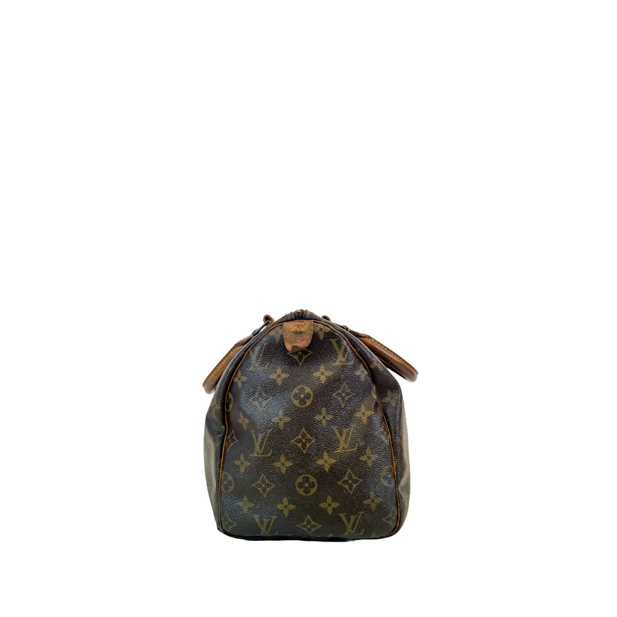 Louis Vuitton Speedy (30)