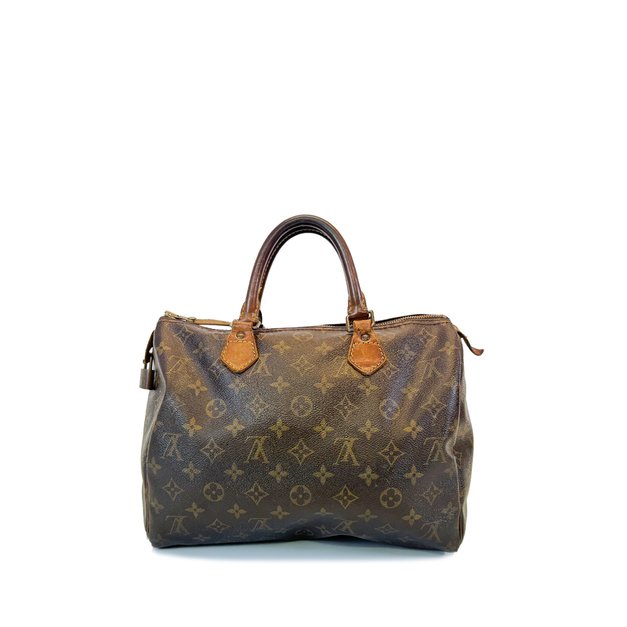 Louis Vuitton Speedy (30)