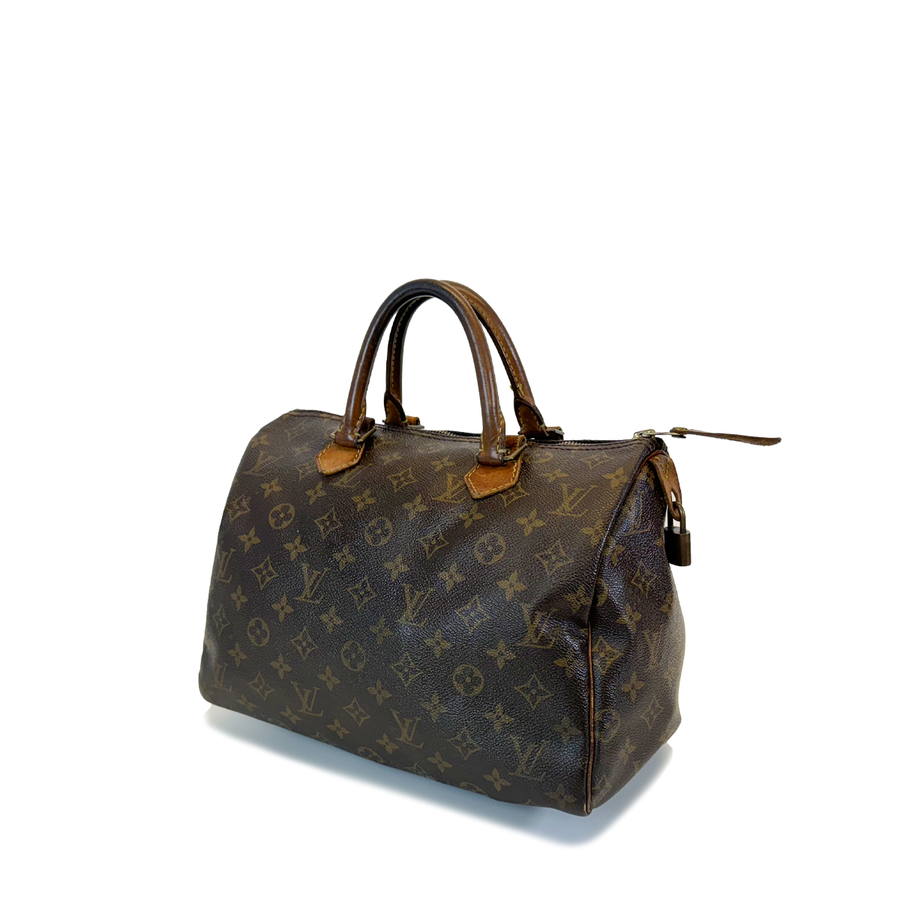 Louis Vuitton Speedy (30)