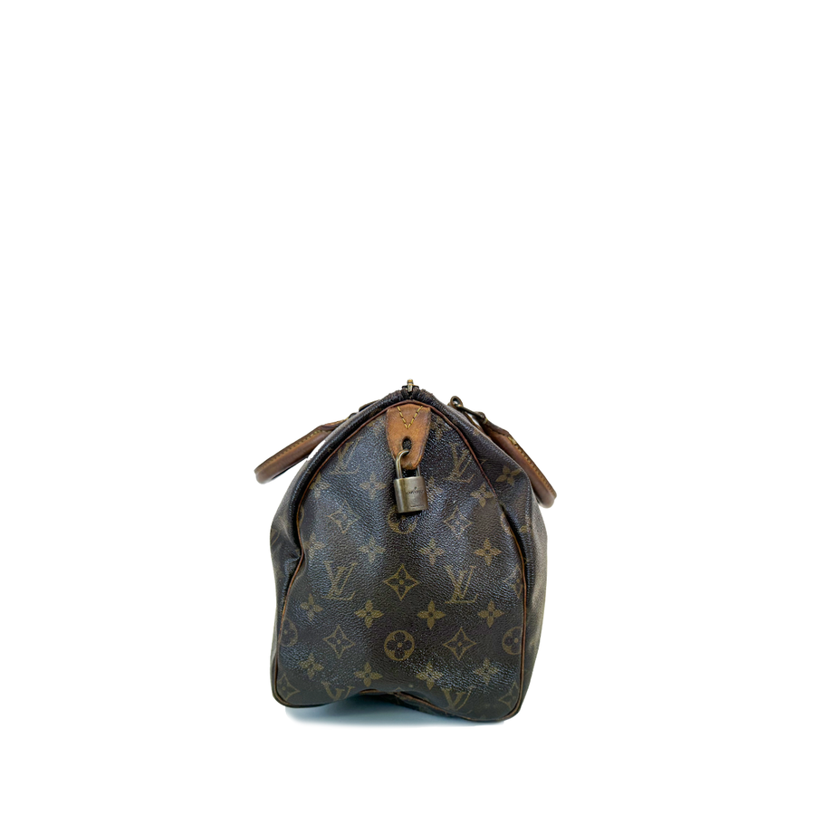 Louis Vuitton Speedy (30)