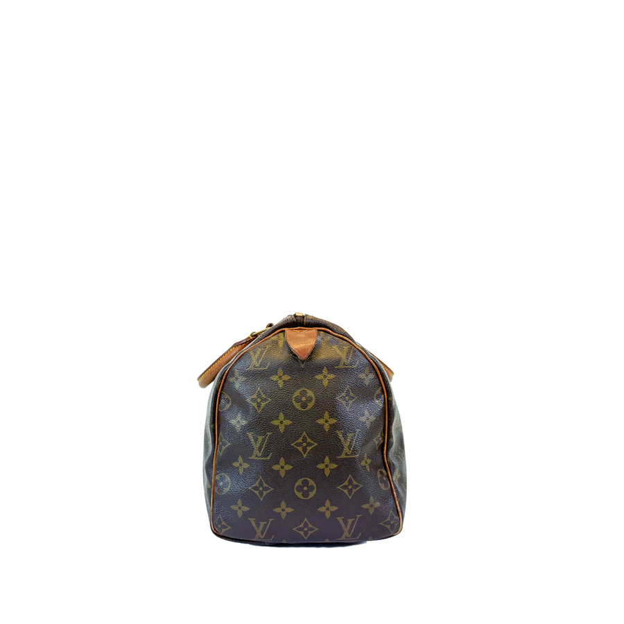 Louis Vuitton Speedy (30)