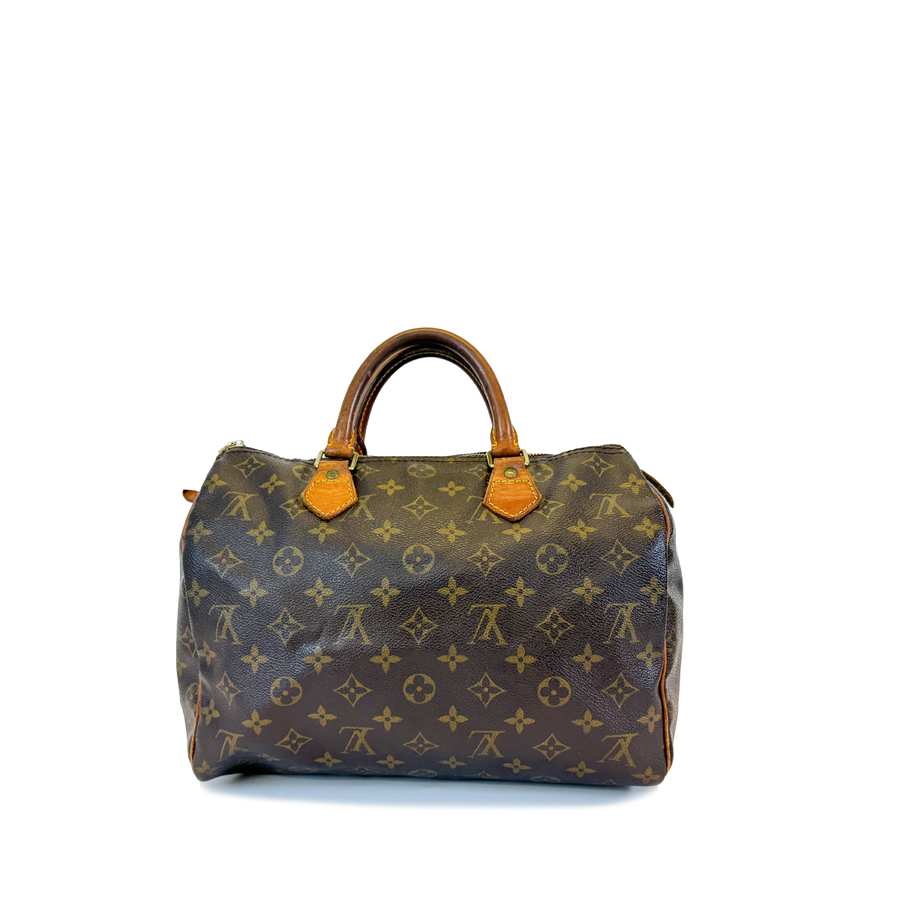 Louis Vuitton Speedy (30)