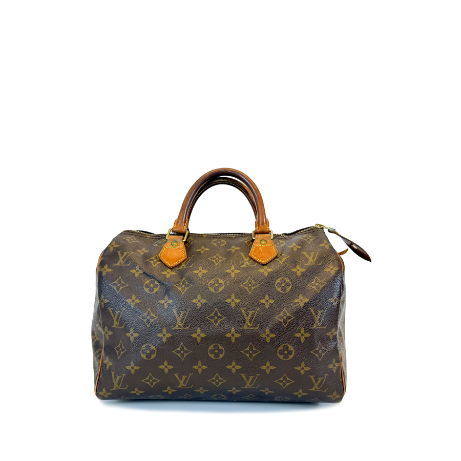 Louis Vuitton Speedy (30)