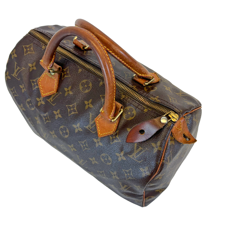 Louis Vuitton Speedy (30)