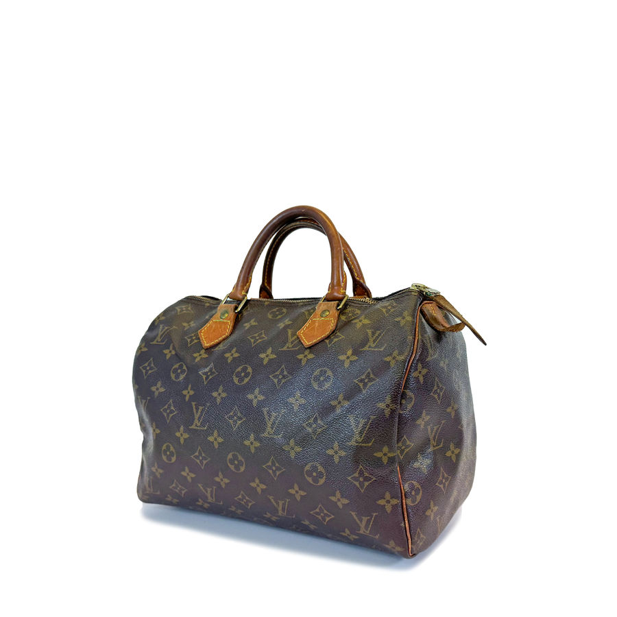 Louis Vuitton Speedy (30)