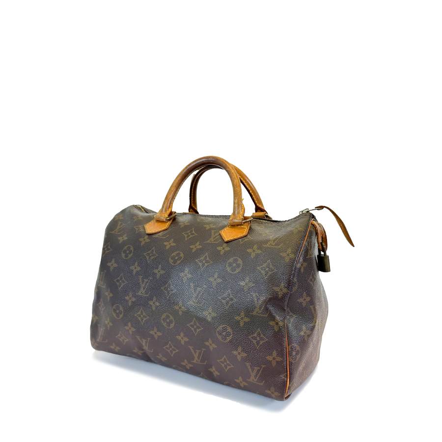 Louis Vuitton Speedy (30)