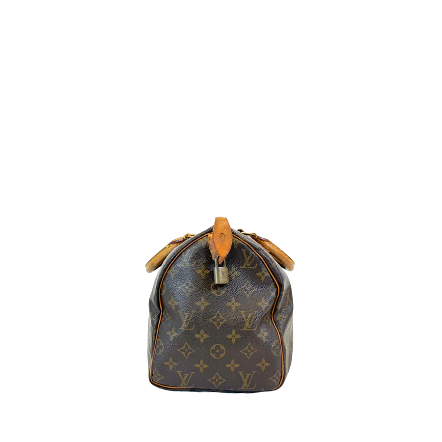 Louis Vuitton Speedy (30)