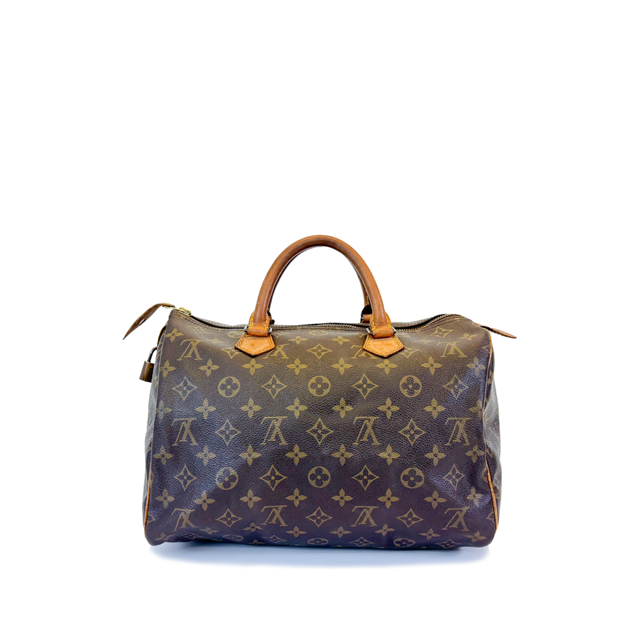 Louis Vuitton Speedy (30)