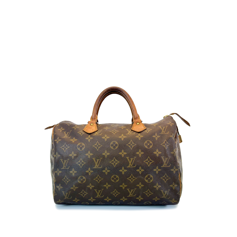 Louis Vuitton Speedy (30)