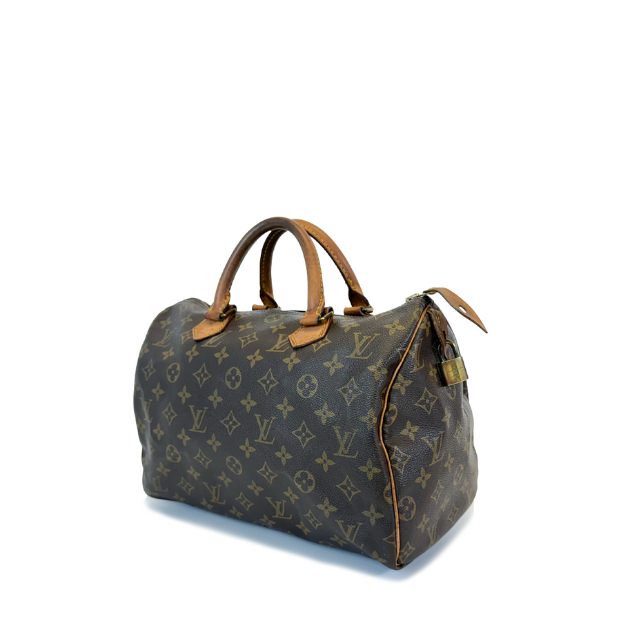 Louis Vuitton Speedy (30)