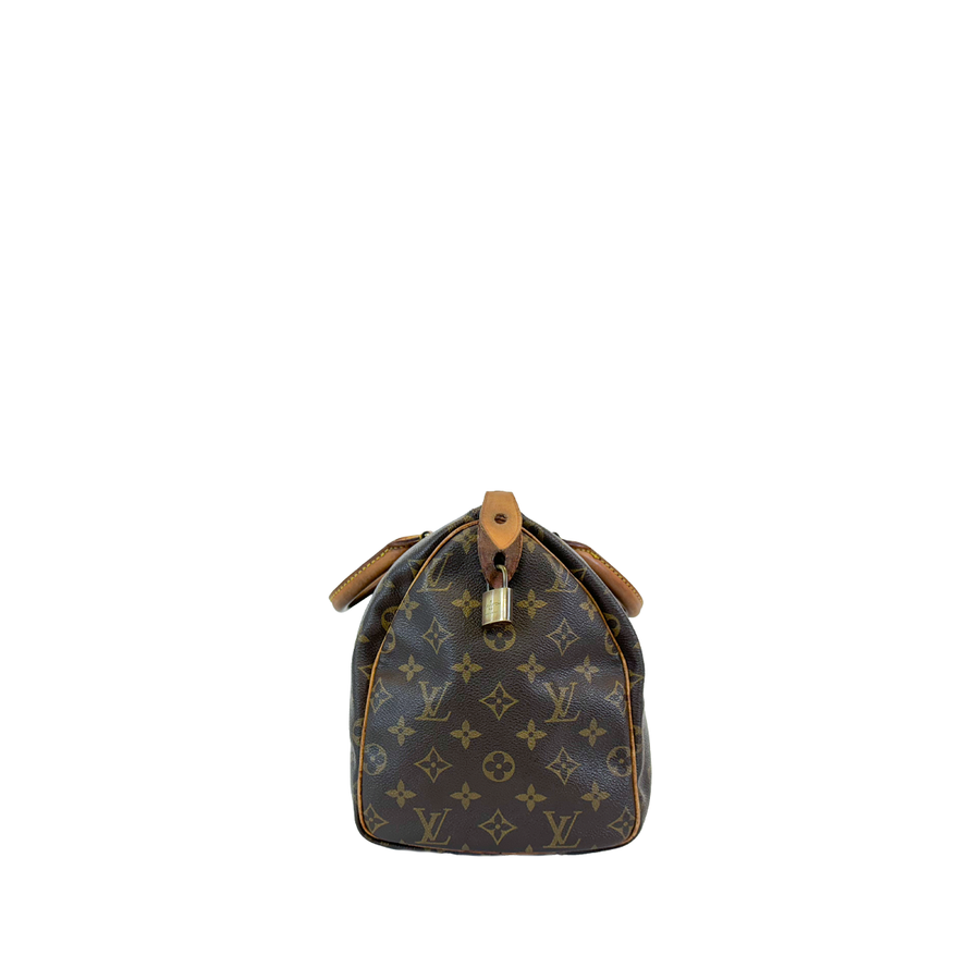 Louis Vuitton Speedy (30)