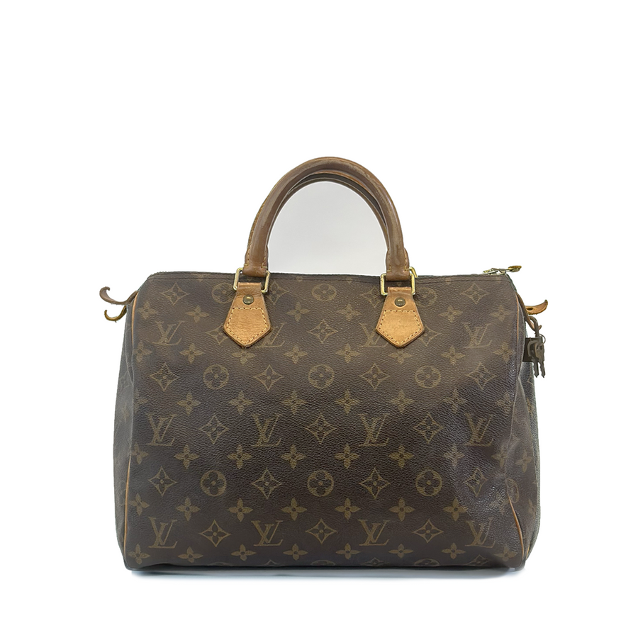 Louis Vuitton Speedy (30)