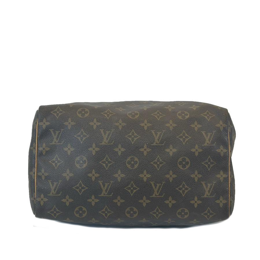 Louis Vuitton Speedy (30)