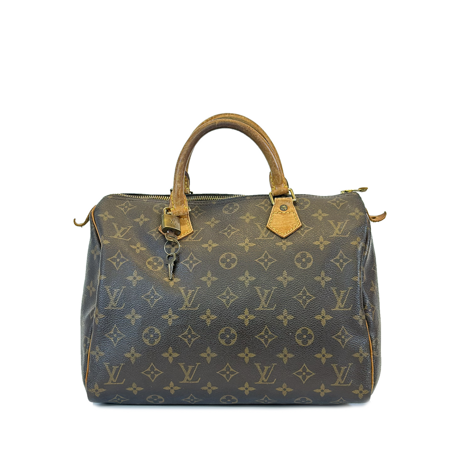 Louis Vuitton Speedy (30)