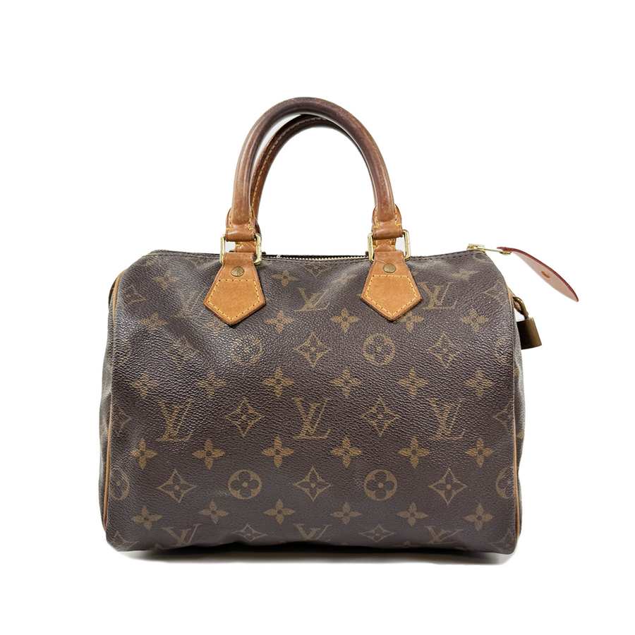 Louis Vuitton Speedy (25)
