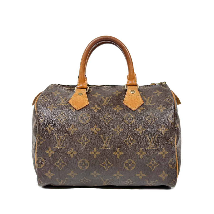 Louis Vuitton Speedy (25)