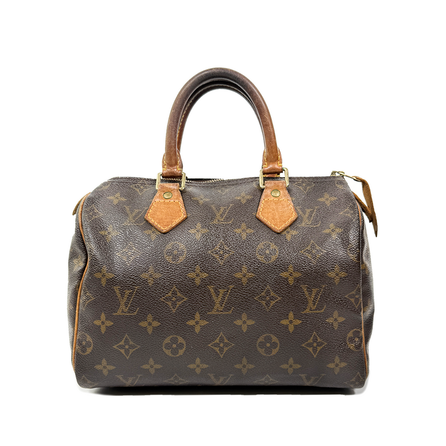 Louis Vuitton Speedy (25)
