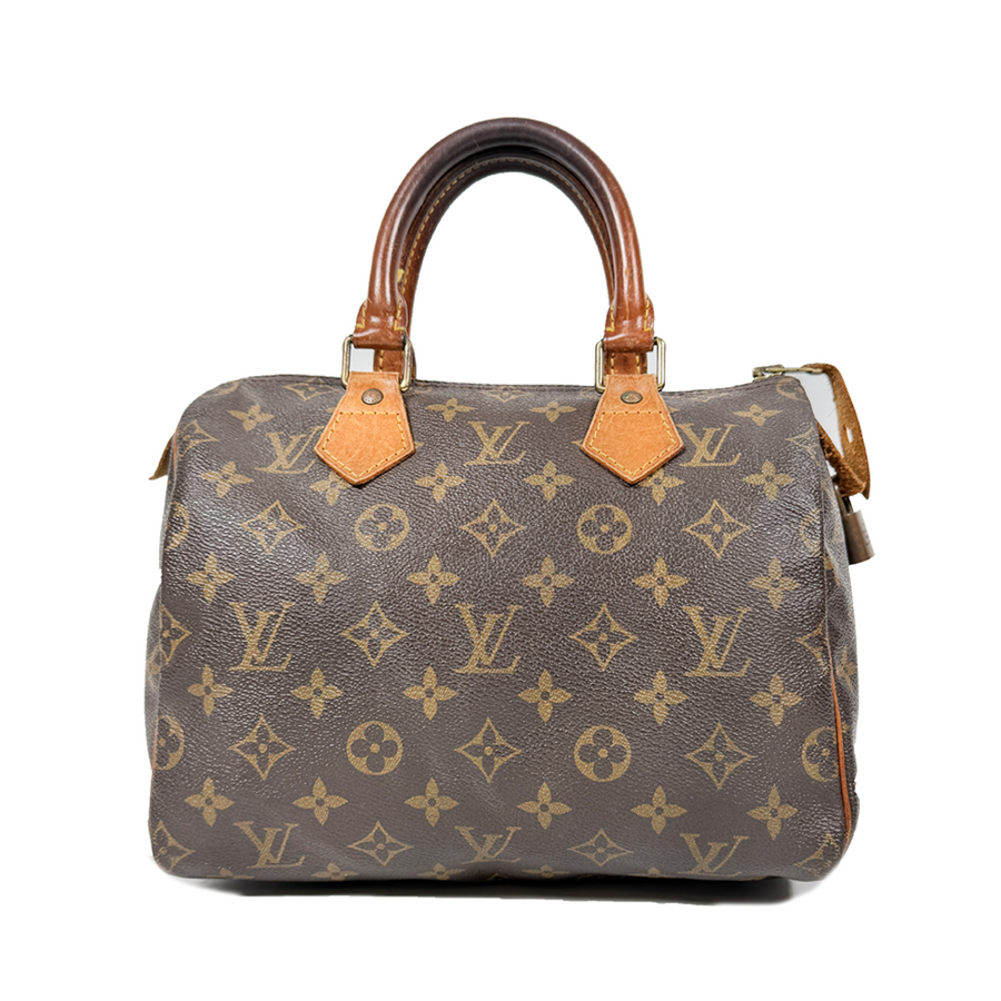 Louis Vuitton Speedy (25)